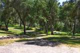 4907 Daffodil Dr - Photo 60