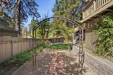 31051 Wild Oak - Photo 48