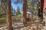 31051 Wild Oak - Photo 53