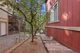 31051 Wild Oak - Photo 56