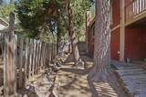 31051 Wild Oak - Photo 64