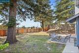 2419 Hill View Ln - Photo 37