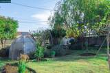 3704 San Rafael - Photo 6