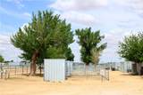 26322 Corona - Photo 11