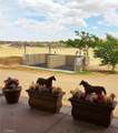26322 Corona - Photo 12