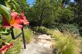 7324 El Fuerte Street - Photo 33
