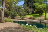 361 Country Hills - Photo 49