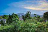 1820 Hacienda Drive - Photo 37