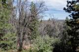 1530 Tuolumne Road - Photo 18