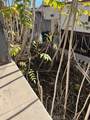 714 Kensington Road - Photo 5