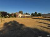 12103 Vista Montana - Photo 2