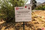 17941 Tramonto Drive - Photo 10