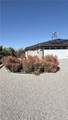 60242 Palm Oasis - Photo 10