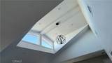 60242 Palm Oasis - Photo 14