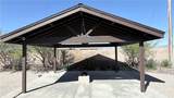60242 Palm Oasis - Photo 21
