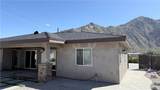60242 Palm Oasis - Photo 22