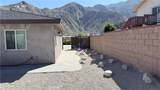 60242 Palm Oasis - Photo 23