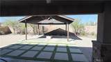 60242 Palm Oasis - Photo 5