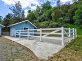 2433 Kokanee - Photo 2