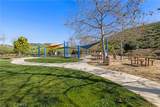 31891 Paseo Navarra - Photo 40