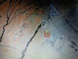 40 Ac M/L E Of Hot Mineral Spa Road - Photo 7