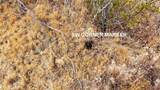 46330404 Earlimart Street - Photo 21