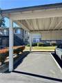 146 Donoso Plz - Photo 17