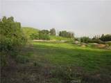 11819 Kagel Canyon - Photo 2