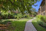 6955 Alvarado Rd - Photo 49