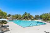 30179 Iron Horse Drive - Photo 45