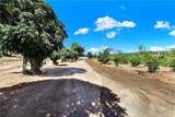 39145 Calle Cordova - Photo 10