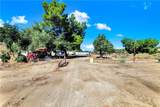 39145 Calle Cordova - Photo 12