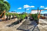 39145 Calle Cordova - Photo 23