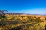 15295 Middle Ranch Rd - Photo 10