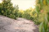15295 Middle Ranch Rd - Photo 14