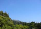 195 Spindrift Road - Photo 2
