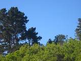 195 Spindrift Road - Photo 3