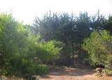 195 Spindrift Road - Photo 4