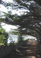 195 Spindrift Road - Photo 5