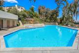 8745 Caminito Sueno - Photo 39