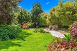 8745 Caminito Sueno - Photo 41