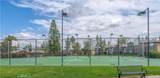 2552 Avenida Del Vista - Photo 36
