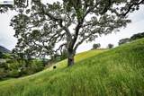 6115 Morgan Territory Rd - Photo 43