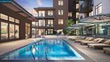 308 Torrey Pine Terrace - Photo 12