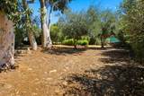 1310 Mcandrew Road - Photo 38