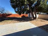 43034 Alexo Drive - Photo 1