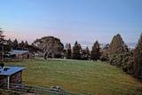 20255 Skyline Boulevard - Photo 22