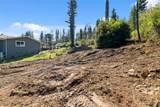 122 Cypress Tree Lane - Photo 12