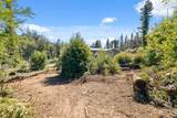 122 Cypress Tree Lane - Photo 9