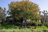9500 Center Street - Photo 13